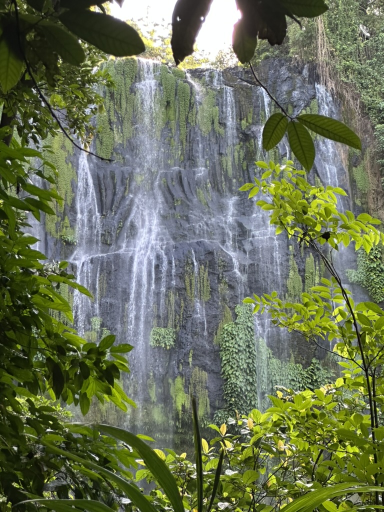 A tall waterfall cascading down a moss-covered cliff
