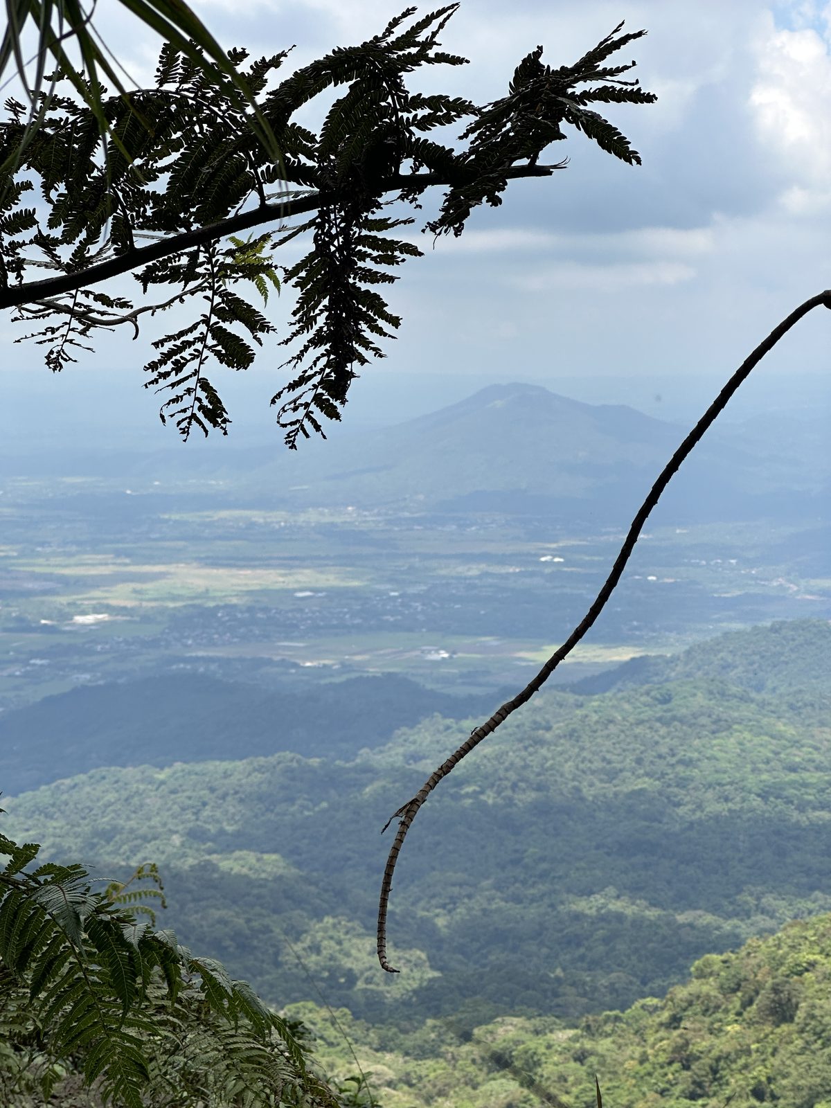 View of a distant mountain from the trail