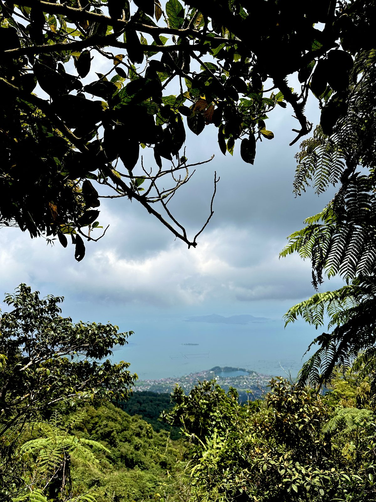 View through the trees toward the lake below